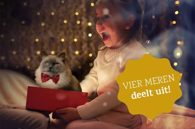 Het is cadeaumaand bij Viermeren!